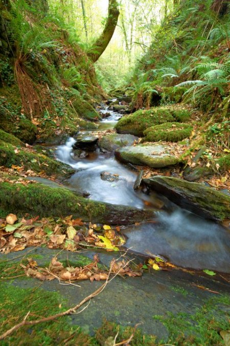 Fotografía de Xann Torres Makazaga, para #tuhilorojo