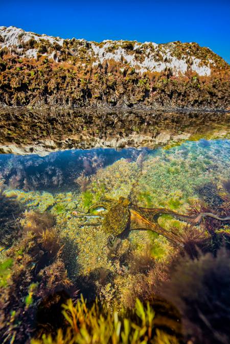 Fotografía de Xann Torres Makazaga, para #tuhilorojo