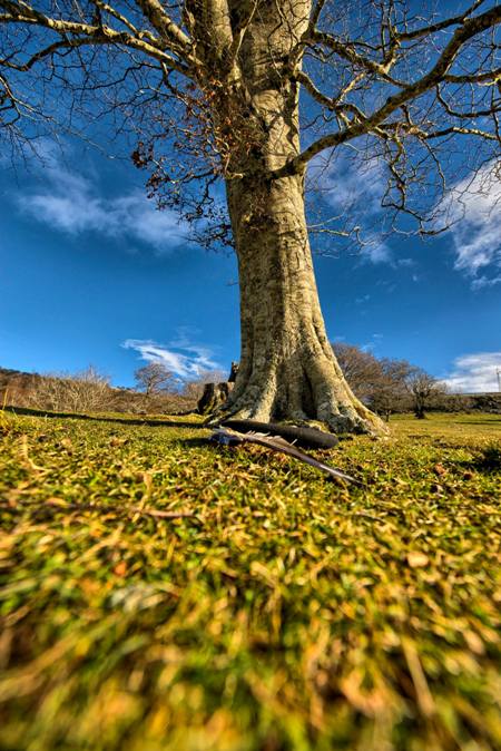 Fotografía de Xann Torres Makazaga, para #tuhilorojo